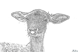 หู หน้าสีที่พิมพ์ได้